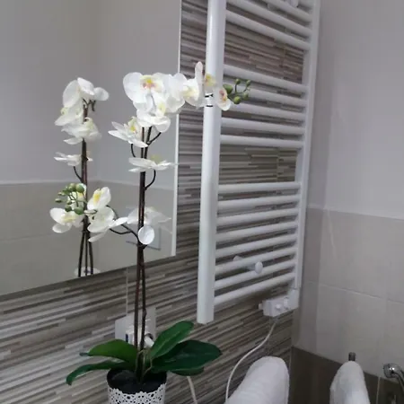 Tatil Evi Depandance Machiavelli *