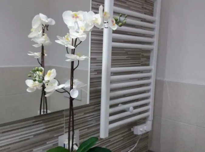 別荘 Depandance Machiavelli *